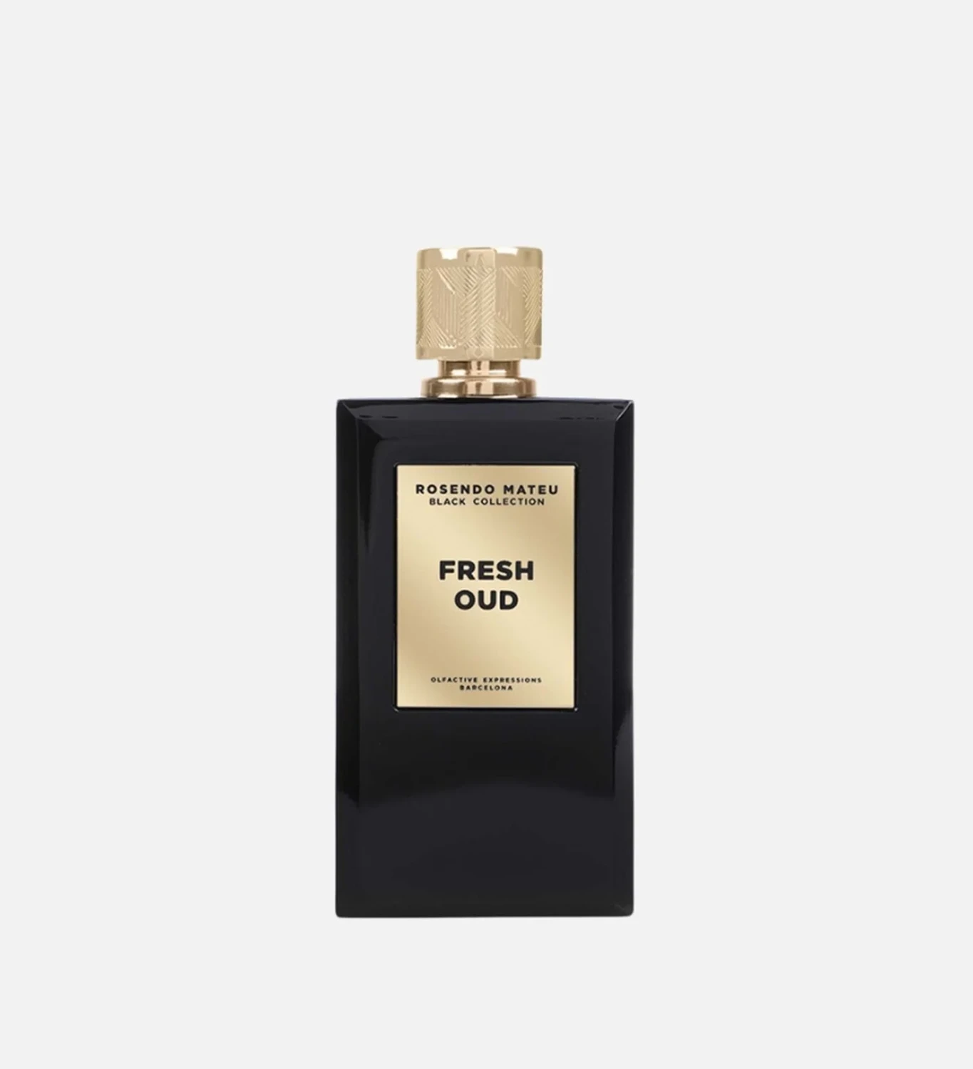 ROSENDO MATEU FRESH OUD Духи 100 мл
